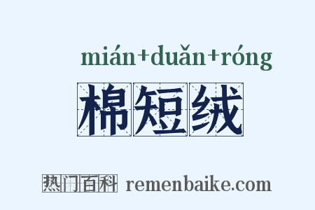 棉短绒是什么意思的图片